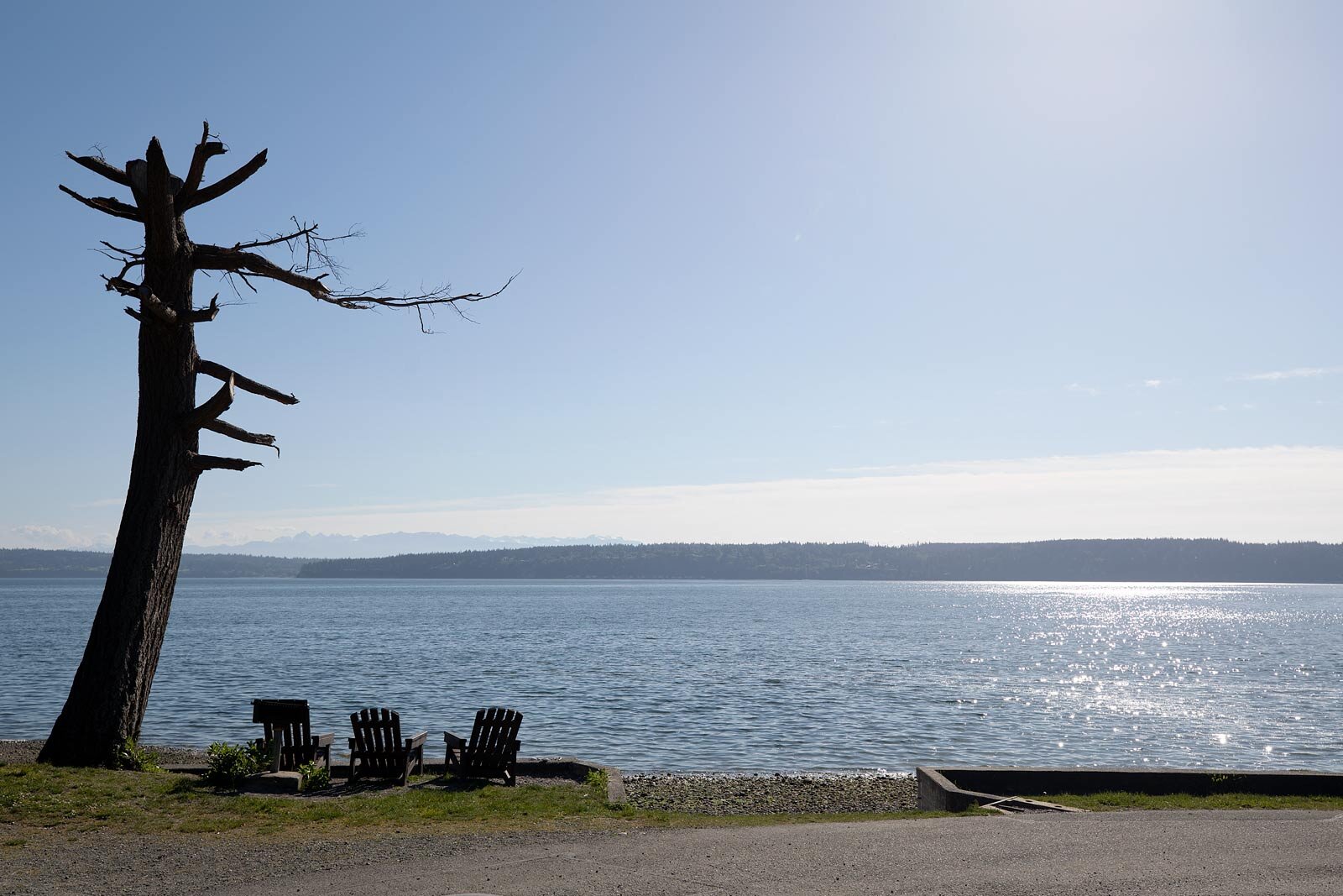 Camano Island State Park beach and Puget Sound