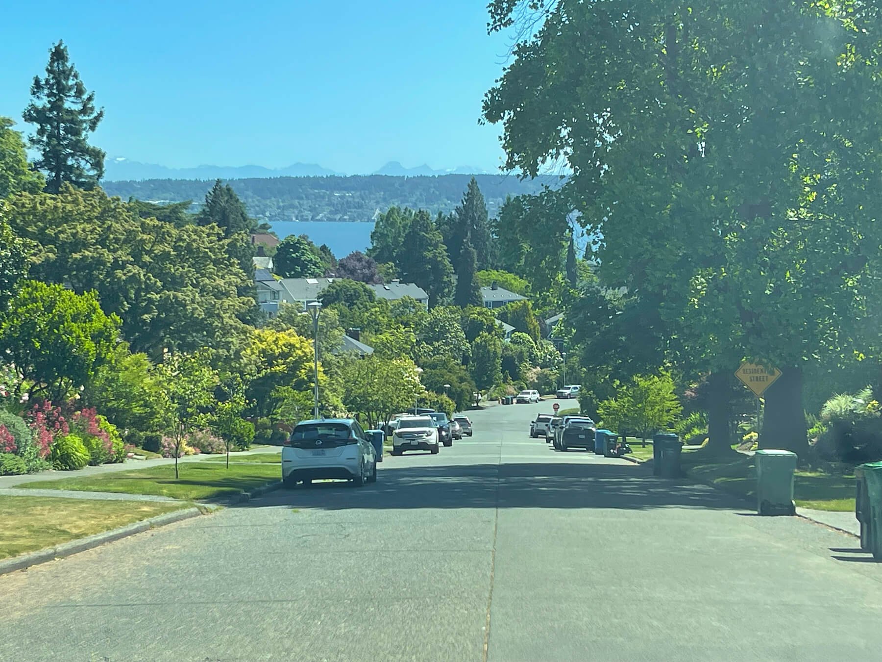 A peaceful residential street in Laurelhurst lined with cars and lush greenery, leading down towards a lake with a scenic mountain range in the distance. The neighborhood features well-maintained lawns, tall trees, and a variety of shrubs, giving the area a tranquil and green ambiance. The clear blue sky enhances the natural beauty and expansive feel of the view.