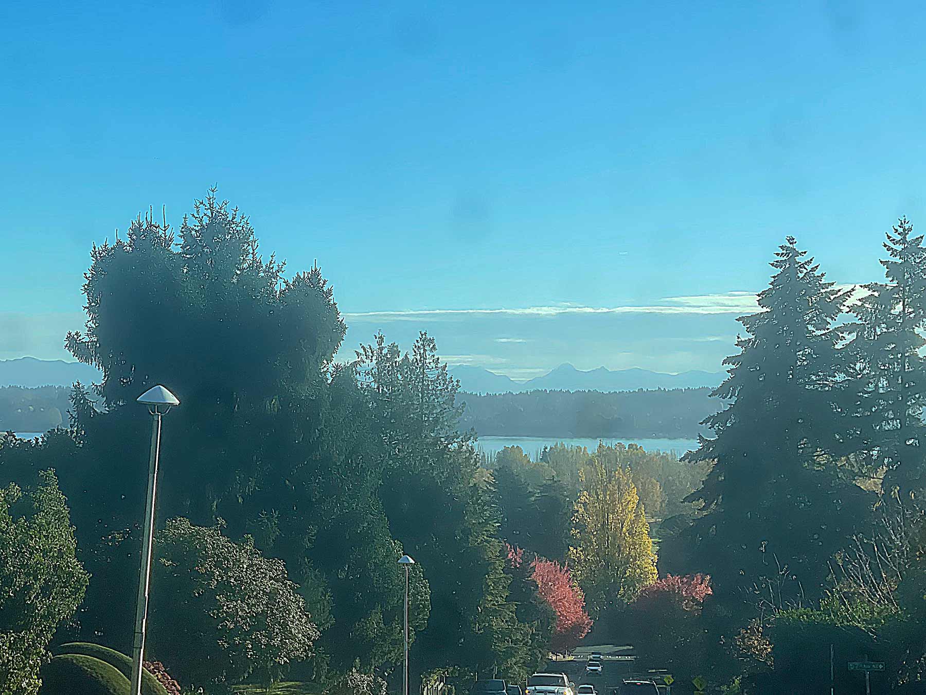 suburban street in LAURELHURST neighborhood lined with vibrant autumn trees, leading down towards a lake with a mountain range visible in the distance. Tall evergreen trees frame the foreground under a bright blue sky, adding depth and contrast to the landscape. The lighting is clear, enhancing the crisp colors and giving a peaceful, expansive feel to the scene.